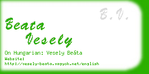 beata vesely business card
